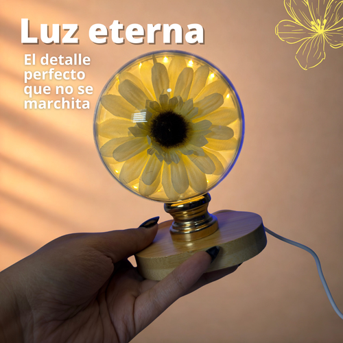 Luz Eterna – El detalle perfecto que no se marchita